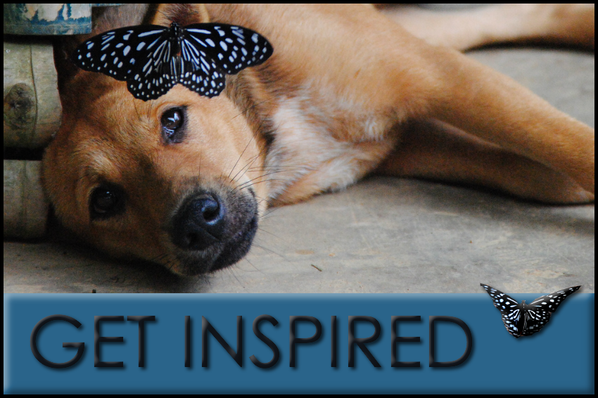 Travel ideas and inspiration