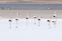 Travel in South America