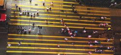 Hong Kong Travel Crosswalk in Hong Kong
