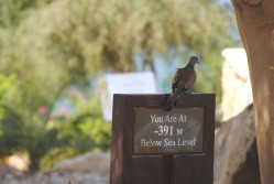 The Dead Sea in Jordan