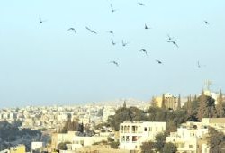 Tips for cheap flights