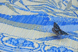 Butterfly in Laos