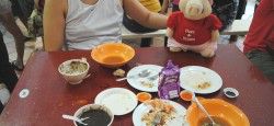 Food in Singapore A stuffed pig sitting in front of several different food in Singapore.