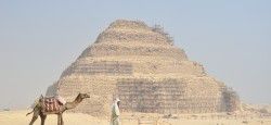 Camel in front of the Pyramid of Djoser step pyramid in Saqqara, Egypt