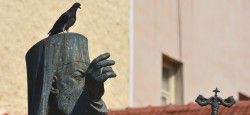 Greek Orthodox Statue in Athens Bird perched on top of Greek Orthodox statue in Athens, Greece