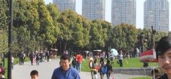 Century Park in Shanghai Shanghai Century Park in China