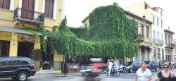 Athens Travel Guide Ermou Street in Athens, Greece