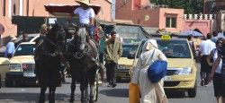Buses and trains in Morocco