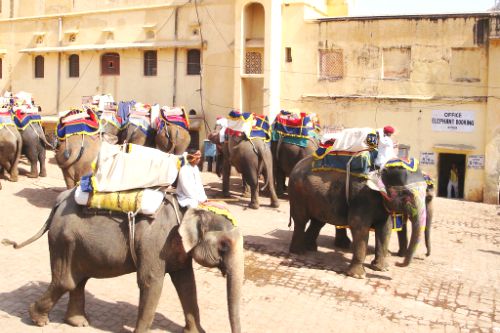 Ride an elephant in Jaipur, India