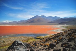 Laguna Colorada 5532523367 l 249x167 Bolivia Travel Photos: Extraterrestrial