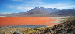 Laguna Colorada in Bolivia Uyuni Salt Falts