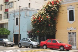 Miraflores District in Lima, Peru