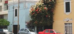 Lima's Miraflores District