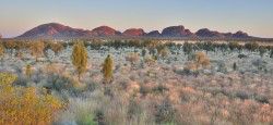 The Olgas aka Kata Tjuta in Australia's Northern Territory