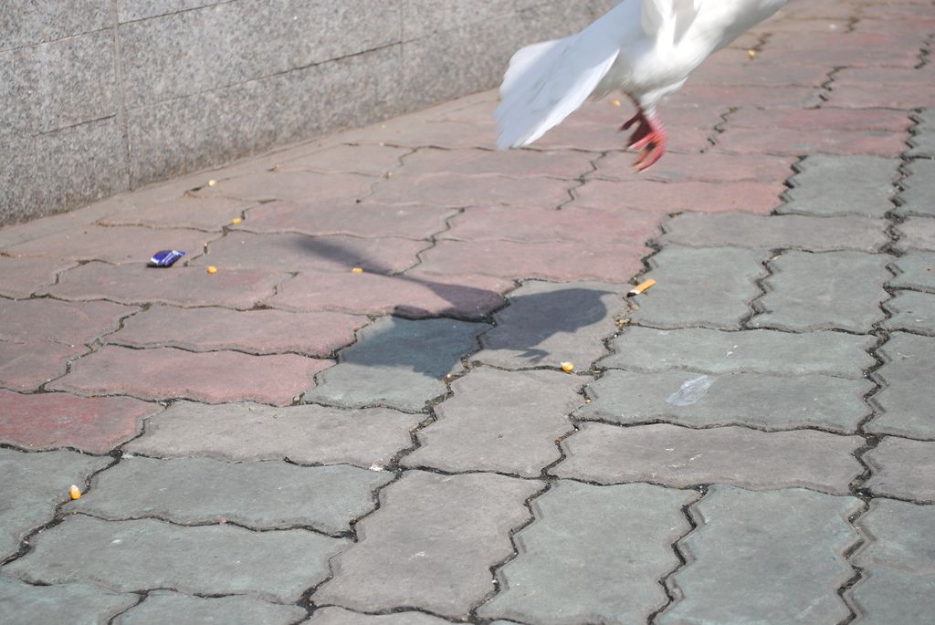 Why I Travel Alone