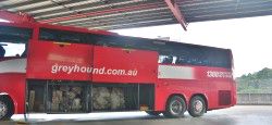 Greyhound Australia Bus Coach from Greyhound Australia