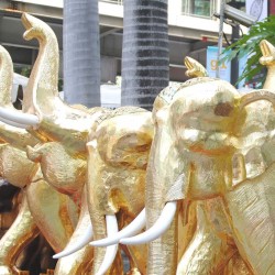 Golden Elephants in Bangkok
