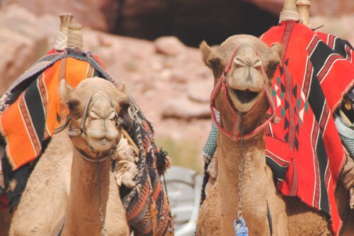 Middle East Travel Guide Things To Do In The Middle East