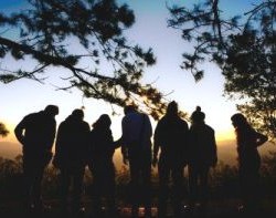 Travel during the gap year