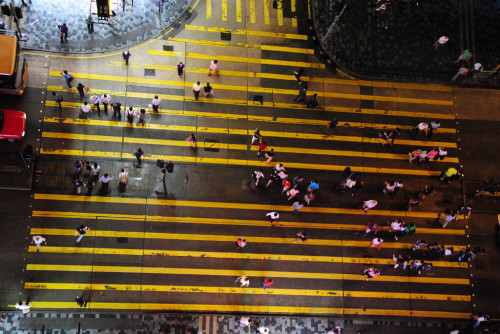 Hong Kong Crosswalk 500x334 Travel While You Learn English in New York