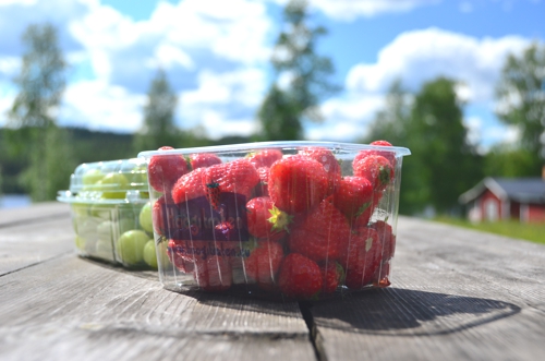 Sweden Fruit