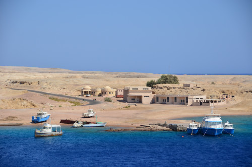 Ras Mohammed National Park in Egypt 2 500x331 Sharm el Shiekh: Just For Divers?
