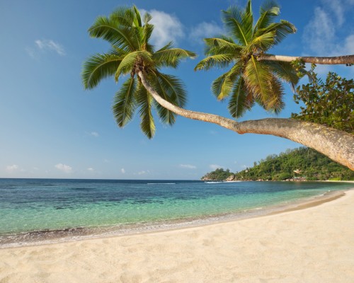 Web Baie Lazare Beach 500x400 Exploring Paradise: The Seychelles Islands