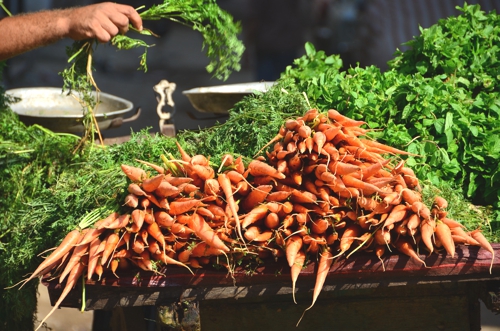 Carrots at Market in Old Cairo Egypt The Ugly Side of Farm Work in Australia