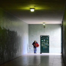 Accordion Player in Portugal