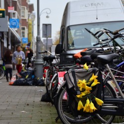 Bike in Amsterdam Netherlands