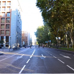Busy Street Madrid Spain
