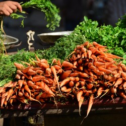 Carrots at Market in Old Cairo Egypt