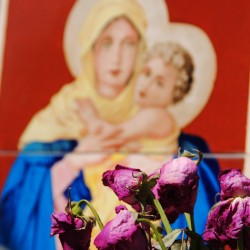 Catholicism in Argentina