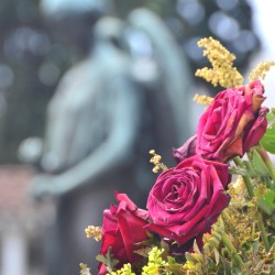 Cemetery in Medellin Colombia
