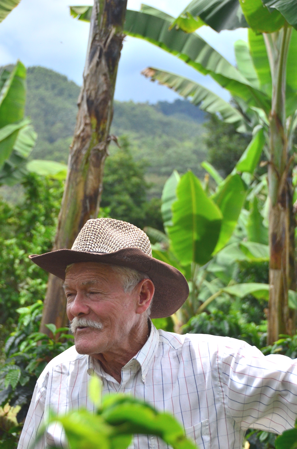 Coffee Finca in Salento Colombia1 2012 in Review    and a 2013 Preview
