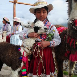 Inca Girl With Llama in Yanque Peru