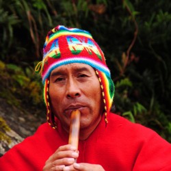 Inca Man at Machu Picchu in Peru