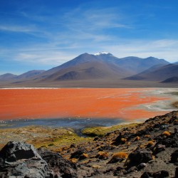 Laguna Colorada in Bolivia