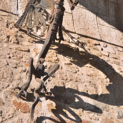 Ljubljana Dragon