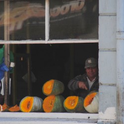 Melons in Valparaíso Chile