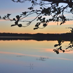 Midnight Sun in Sweden