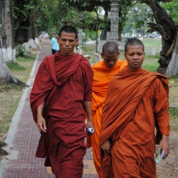 Monks in Cambodia Wearing Orange Robes