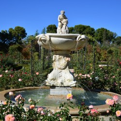 Rose Garden Parque del Buen Retiro Madrid