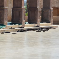 Shoes Outside Mosque in Sharm el Shiekh Egypt