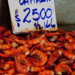 Shrimp in Santiago Chile