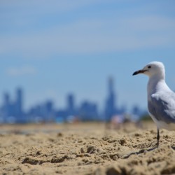 Skyline of Melbourne Australia