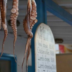 Tentacles in Mykonos Greece