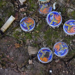 Tiger Beer Bottle Caps