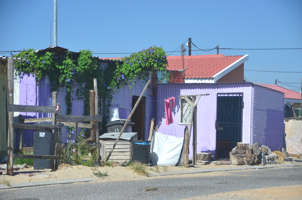In spite of Khayelitsha's poverty, many elements of beauty exist