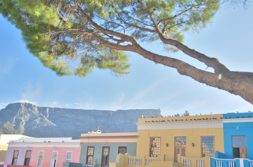 The colorful houses of Bo Kaap, with Table Mountain rising in the background